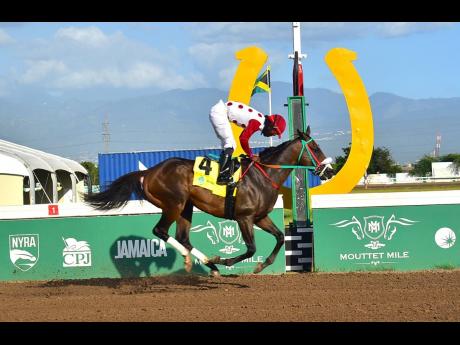 
IS THAT A FACT, ridden by Robert Halledeen, wins The Alexander Hamilton Memorial Trophy over a mile, a three-year-old and upwards open allowance stakes at Caymanas Park yesterday.