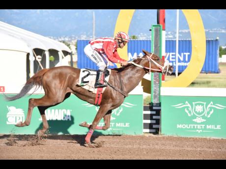 
FEARLESS SOUL, ridden by United States-based jockey, Shaun Bridgmohan, wins the George Hosang OD Trophy over five and a half furlongs, a four-year-old and upwards restricted allowance stakes at Caymanas Park yesterday.