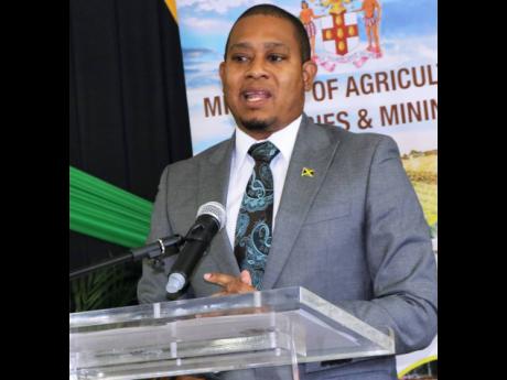 Minister of Agriculture, Fisheries and Mining Floyd Green speaking about plans for the resuscitation of the country’s other research station at Hounslow in St Elizabeth, Orange River in St Mary, and Montpelier in St James. 