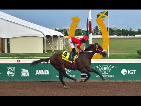 DIVINE FORCE, ridden by Tevin Foster wins THE VESTIA TROPHY Division II over seven-and-half furlongs, a three-year-old and upwards restricted allowance stakes, at Caymanas Park on December 30, 2023.