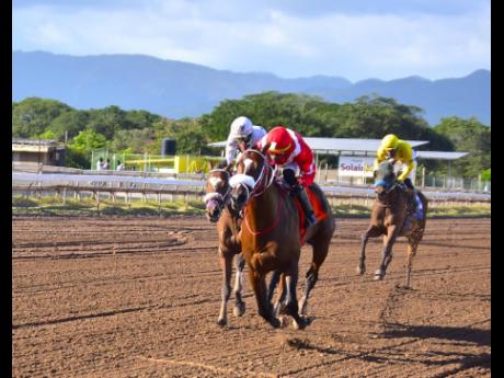 
DIVINE FORCE (centre), ridden by Tevin Foster, wins the Lloyd Linbergh ‘Lindy’ Delapenha Memorial Trophy over a mile, a three-year-old and upwards overnight Allowance Stakes, ahead of D HEAD CORNERSTONE (left) at Caymanas Park yesterday.