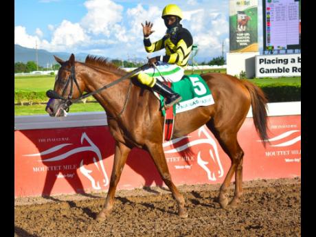 ATOMICA, ridden by Robert Halledeen, wins the Jamaica Cup over nine-and-half furlongs, a graded stakes for horses three years old and upwards at Caymanas Park on Saturday, November 11, 2023.