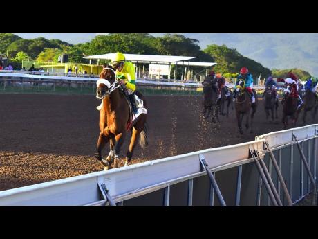 United States-based horse ROUGH ENTRY, ridden by France national, Julien Leparoux, wins the second running of the lucrative Mouttet Mile at Caymanas Park on December 2, 2023.