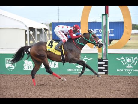 
IS THAT A FACT, ridden by Jordan Barrett, wins the Chairman’s Trophy over seven-and-a-half furlongs, a three-year-old upwards graded/open allowance stakes at Caymanas Park yesterday.