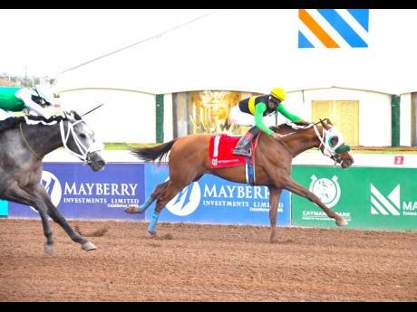 ALLEGIANCE, ridden by Reyan Lewis,. wins the Sir Howard Stakes  over six furlongs at Caymanas Park yesterday. 