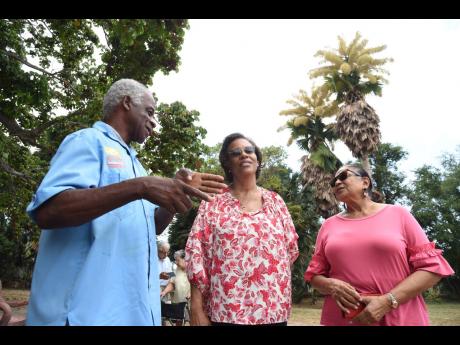 Christopher Creary (left), cultural heritage officer at the Hope Royal Botanic Gardens, explains the lifespan of a century palm (in background) to Ronie Miller-Brown (centre) and Lourel Williams-Demercado, plant enthusiasts who visited the gardens to view 