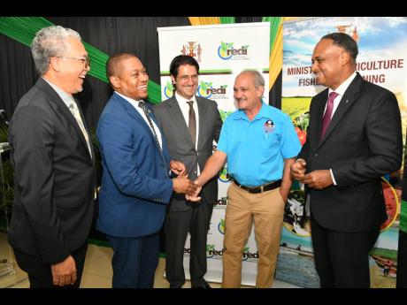 Champion Industrial Equipment and Supplies Limited projects director Courtney Harford (second right) holds centre stage in conversation with, from left, Agro-Investment Corporation CEO Vivion Scully, agriculture minister Floyd Green, World Bank Group progr