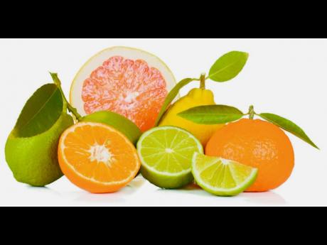 Citrus fruits (oranges, lemons, limes, and others) were introduced to Jamaica with the arrival of the Spanish.