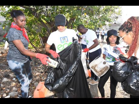 Volunteers from the Jamaica National Group collect waste from Chiney Beach as part of the Great Mangrove Clean-up.
