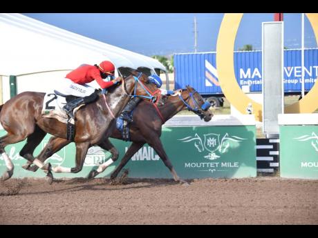 
ABILITY (right), ridden by leading jockey Tevin Foster, wins the I’msatisfied Trophy over six furlongs for horses three years old and upwards open allowance at Caymanas Park yesterday.