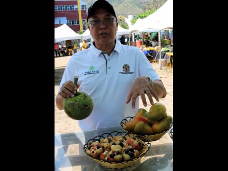 Chief executive officer of the Agro-Invest Corporation Vivion Scully shows off some of the crops harvested from agroparks across Jamaica, while manning the agency’s booth at Saturday’s annual agricultural, industrial and food show of the Kingston and S