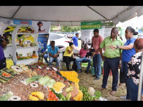 Franklin Witter (centre) listens to Camile Anderson, social services coordinator at the Westmoreland branch of the Rural Agricultural Development Agency (RADA), as she gives details on the variety of crops on display at Sunday’s Westmorland Agricultural 