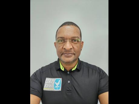 Wayne Cummings, chief executive officer of Bird Shack Jamaica. 