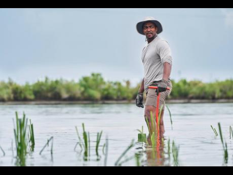 This image released by National Geographic shows actor/host Anthony Mackie wading in the Bayous near Violet, Louisiana, during the filming of ‘Shark Beach with Anthony Mackie’.