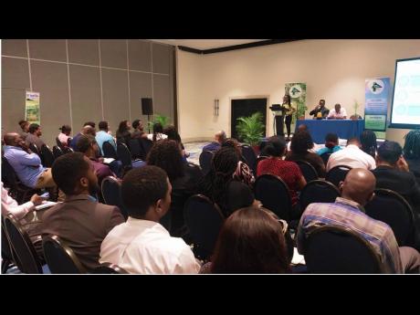 Stakeholders engaged in the validation meeting for the Land Use/Land Cover Change Assessment (2013-2023) last month. Participants included the National Environment and Planning Agency, the Planning Institute of Jamaica, the National Land Agency, the Jamaic