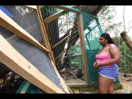 Lasharner Latouche, a resident of Clonmel, St Mary, looks at her chicken slaughterhouse that was destroyed after an uprooted tree crashed into it during the passage of Hurricane Beryl.