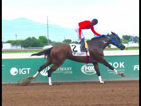 I AM FRED, ridden by Reyan Lewis, romps to victory in the SVL 23rd Anniversary Trophy over five-and-a-half furlongs at Caymanas Park on Saturday, June 22.