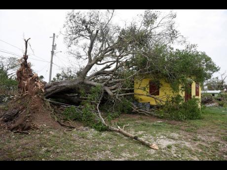 A guinep tree, uprooted by strong winds during the passage of Hurricane Beryl, fallen on a shop in Mountainside, St Elizabeth.