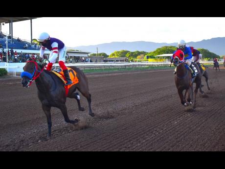 BOOTYLICIOUS, ridden by Dane Dawkins, wins the ninth race over five furlongs round at Caymanas Park on Saturday, September 9, 2023.