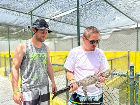 German tourists Florian Sorgel (left) and Michael Leber hold a baby crocodile at the Black River Safari sanctuary in Black River, St Elizabeth on Wednesday, July 10.