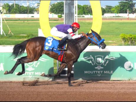 BOOTYLICOUS, ridden by Reyan Lewis, wins the three-year-old and upwards overnight stakes over five furlongs straight at Caymanas Park yesterday.