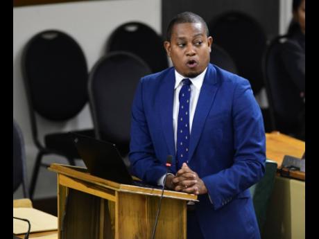 Minister of Agriculture, Fisheries and Mining Floyd Green addressing a sitting of the House of Representatives at Gordon House in Kingston on Tuesday.