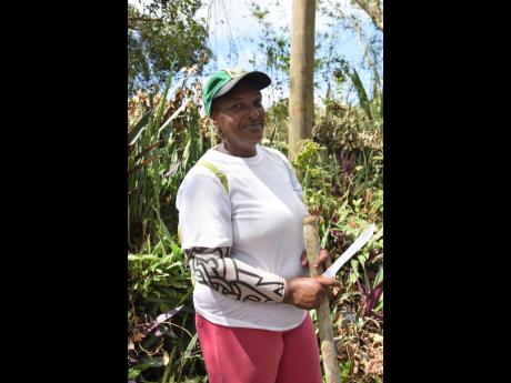 Sheron Honegon, a farmer from Cross Keys, Manchester, lost her seven goats when they drowned during the passage of Hurricane Beryl.