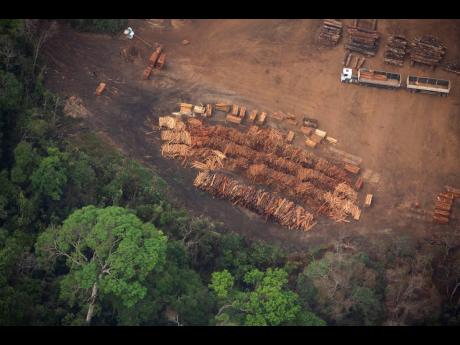 Timber from a woodmill sits next to the jungle near Vila Nova Samuel, Brazil, on August 27, 2019.