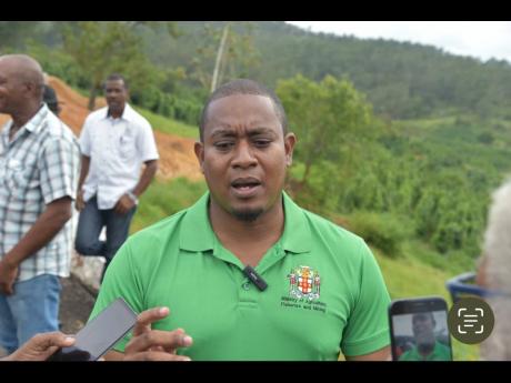 Agriculture Minister Floyd Green outlining his plans to tackle yam rust.