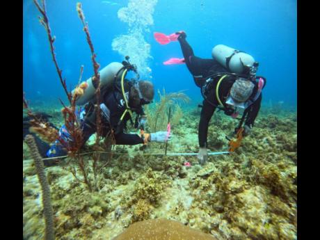 Calrick Kettle of the Alligator Head Foundation (left) and Gina-Marie Maddix of The Nature Conservancy were photographed while establishing the coral restoration intervention plots for the German-funded CoralCarib Project. 