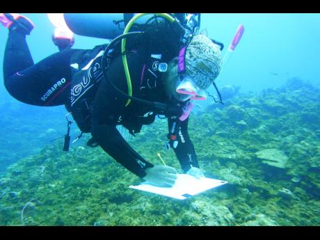 The Nature Conservancy’s Gina-Marie Maddix collecting data during the CoralCarib baseline surveys earlier this year. 