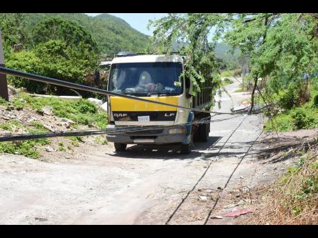 A truck navigates its way through downed Jamaica Public Service utility poles along the Guts River road in Alligator Pond, Manchester. 