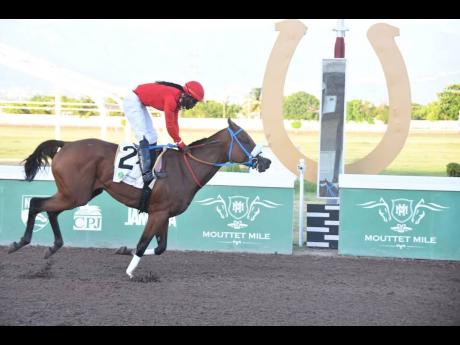 BANADURA, ridden by Robert Halledeen, wins the 85th running of the Jamaica Oaks over 10 furlongs, a futurity stakes for three-year-old fillies at Caymanas Park yesterday.