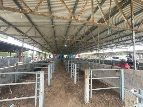 Empty livestock pens at the Denbigh Agricultural, Industrial and Food Show.