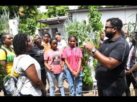 Owner of Tower Farms John Mark Clayton (right) shows students scallion that was cultivated on the farm.