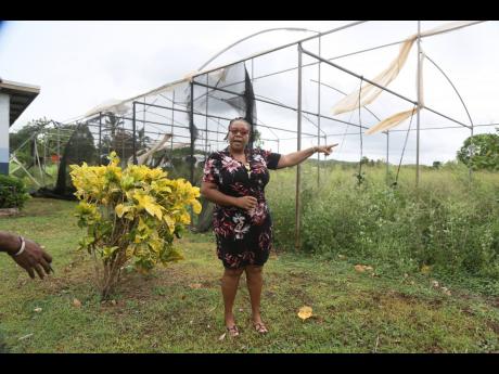 Muriel Johnson, principal secretary at New Forest High School, stands in front of the damaged greenhouse at the Manchester-based school.