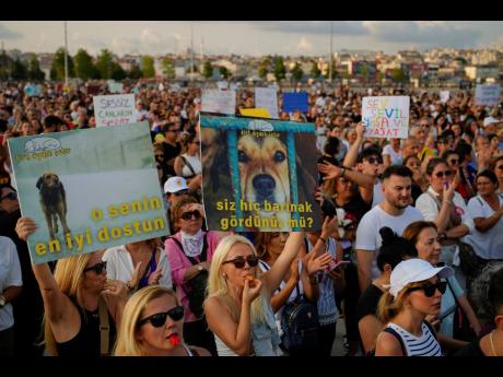 People march during a protest against a bill approved by Turkish legislators that aims to remove stray dogs off the country’s streets, in Istanbul, Turkey, on Sunday.