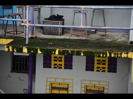 
Green algae growing on the walls near the canteen.