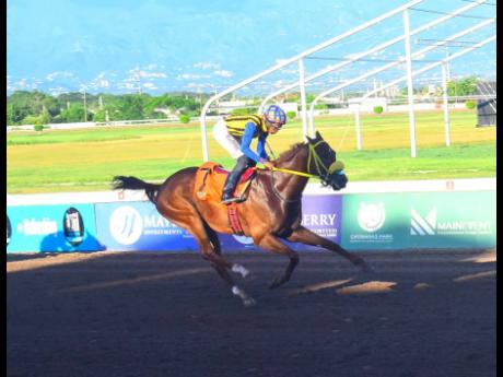 
SENSATIONAL MOVE, ridden by Raddesh Roman, wins the ninth race, a three-year-old and upwards overnight allowance stakes over five furlongs straight at Caymanas Park yesterday.