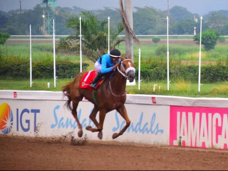 
DESERT OF MALIBU, ridden by Raddesh Roman, wins the three-year-old and upwards graded stakes/open allowance None Such Sprint Trophy over six furlongs at Caymanas Park yesterday.