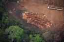 Timber from a woodmill sits next to the jungle near Vila Nova Samuel, Brazil, on August 27, 2019.